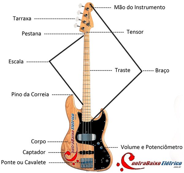 Partes do contrabaixo